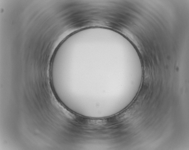 X0000089401339200707061219