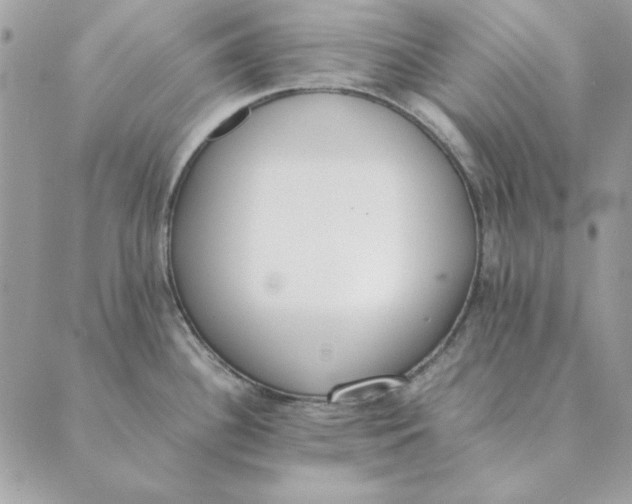 X0000089401340200707061219