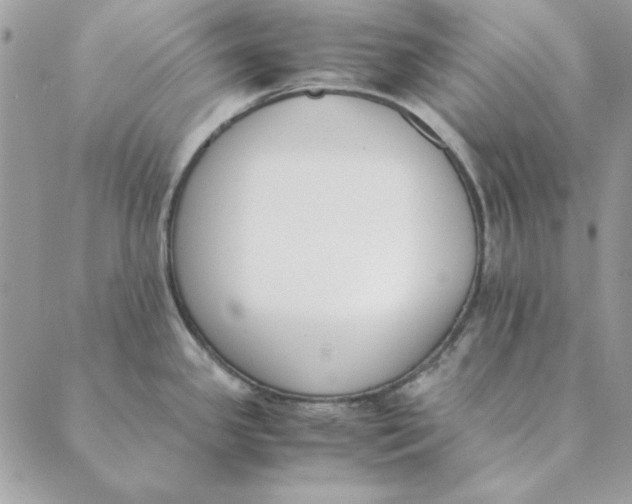 X0000089401341200707061219