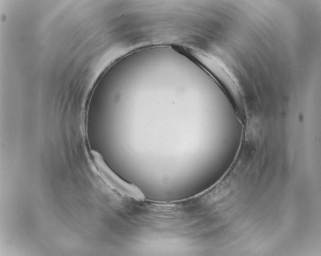 X0000089401342200707061219