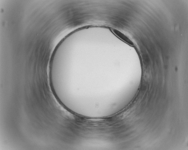 X0000089401343200707061219