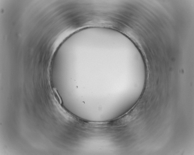 X0000089401344200707061219