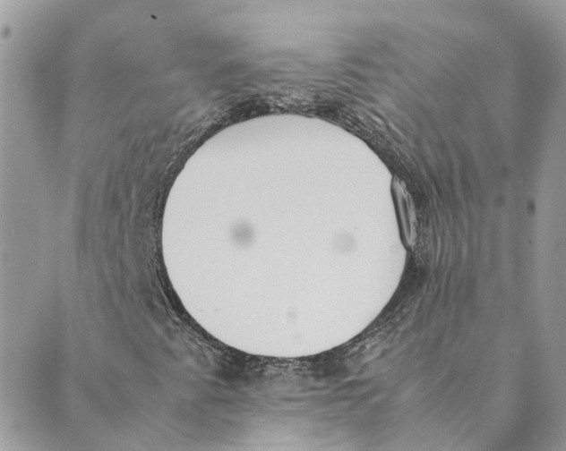 X0000089401345200707061218