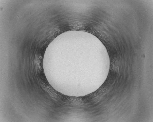 X0000089401346200707061218