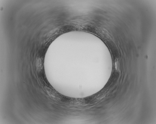 X0000089401347200707061218