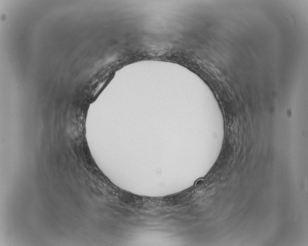 X0000089401349200707061218