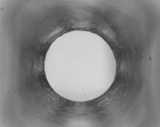 X0000089401350200707061218