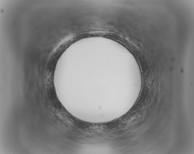 X0000089401351200707061218