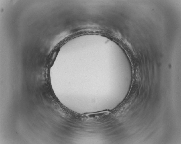 X0000089401352200707061218