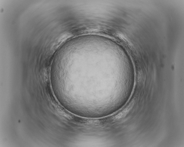 X0000089401353200707061218