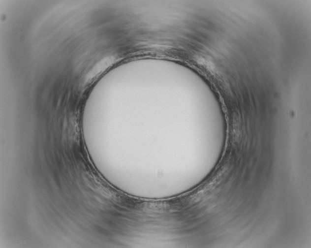 X0000089401354200707061218