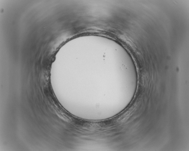 X0000089401355200707061218