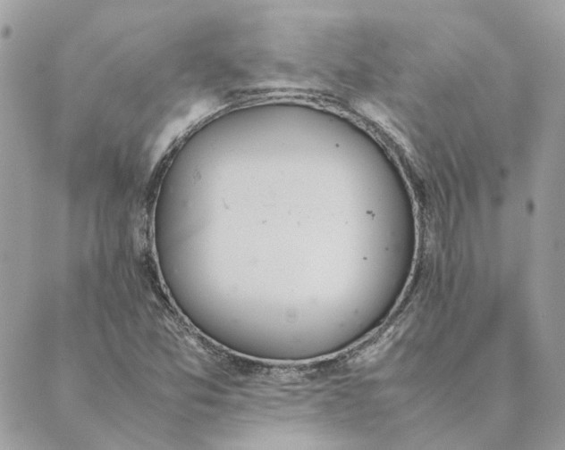 X0000089401357200707061218