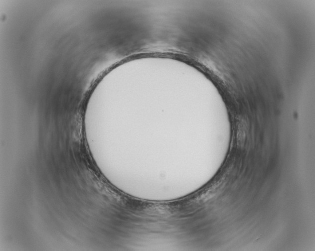 X0000089401358200707061218