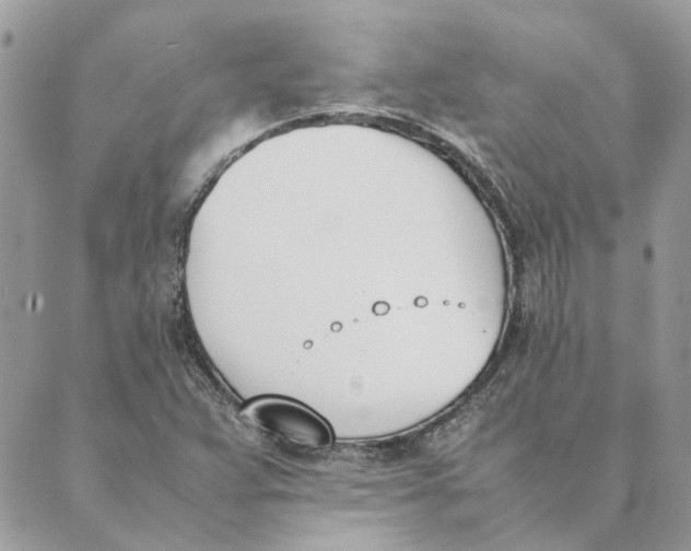 X0000089401359200707061218