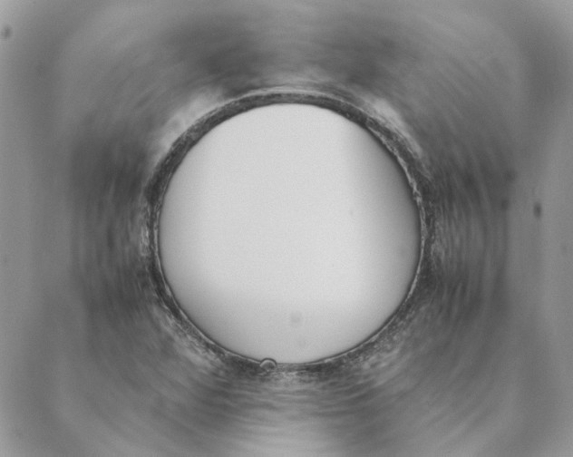 X0000089401360200707061218