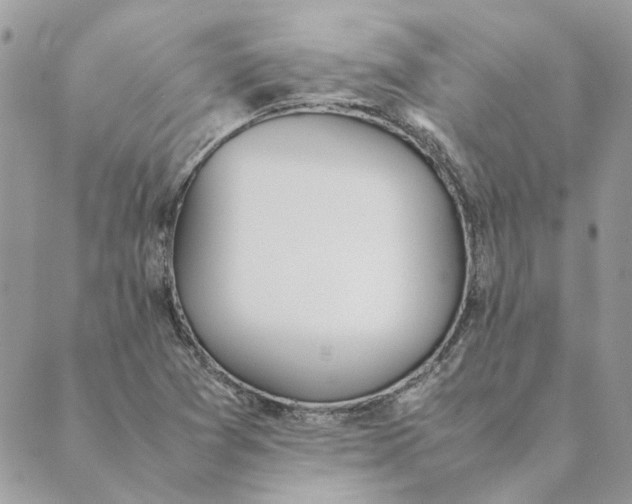 X0000089401361200707061218