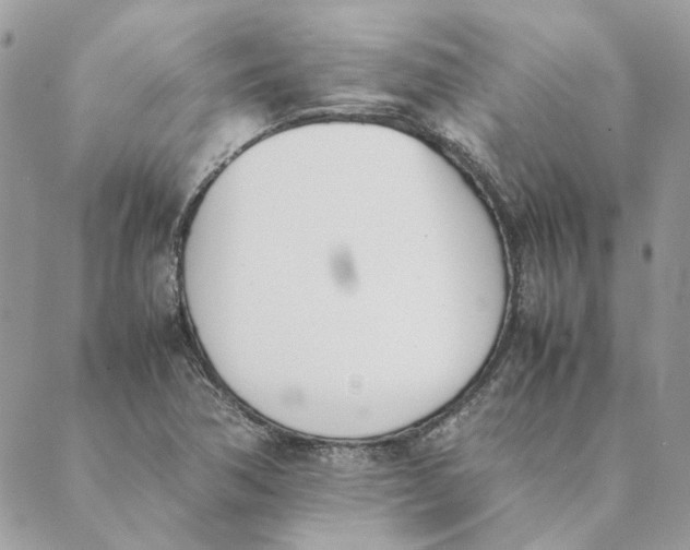 X0000089401362200707061218