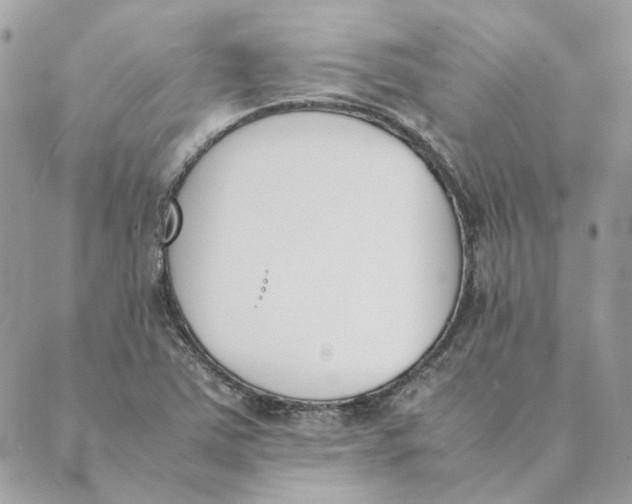 X0000089401363200707061218