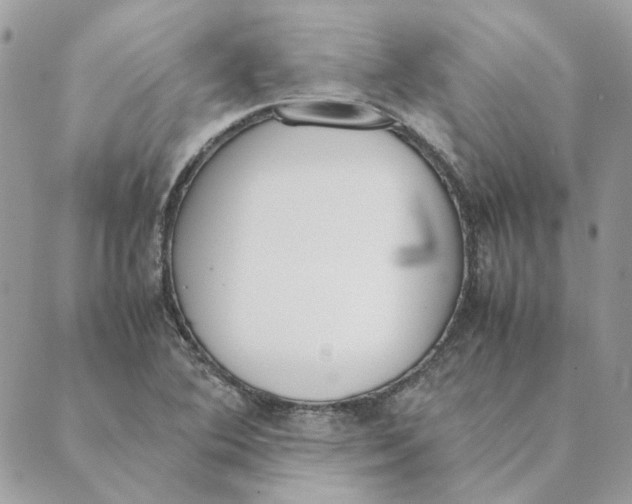 X0000089401364200707061218