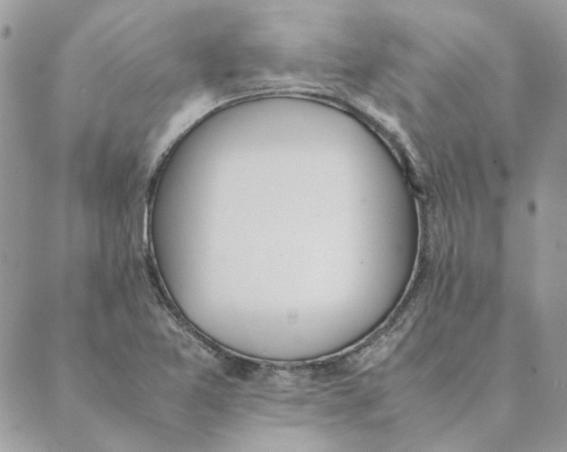 X0000089401365200707061218