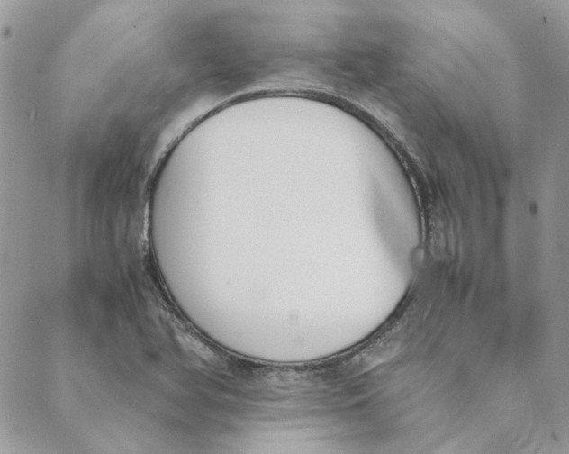 X0000089401366200707061218