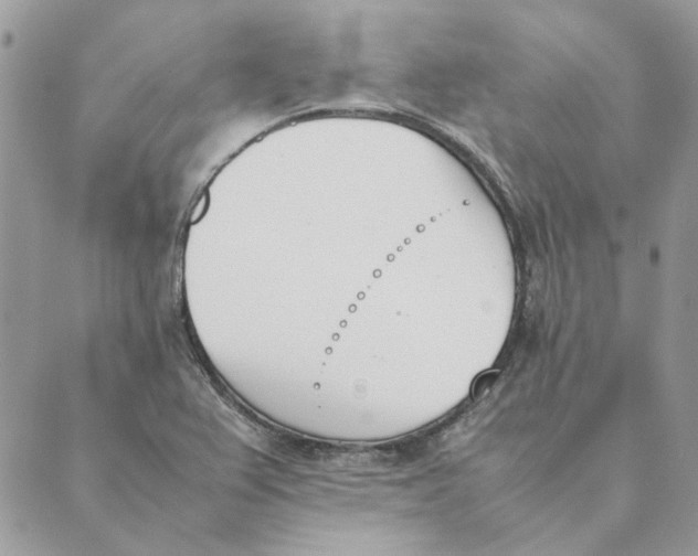 X0000089401367200707061218