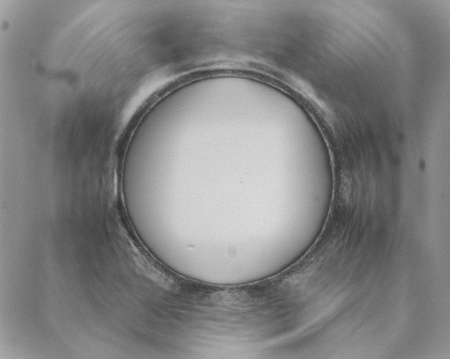 X0000089401368200707061218