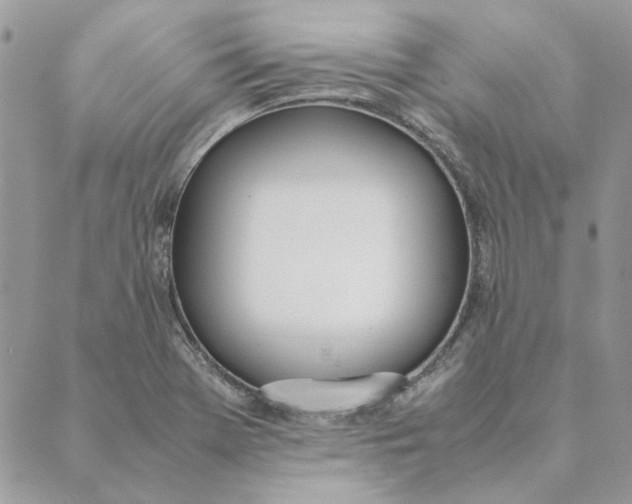 X0000089401369200707061218