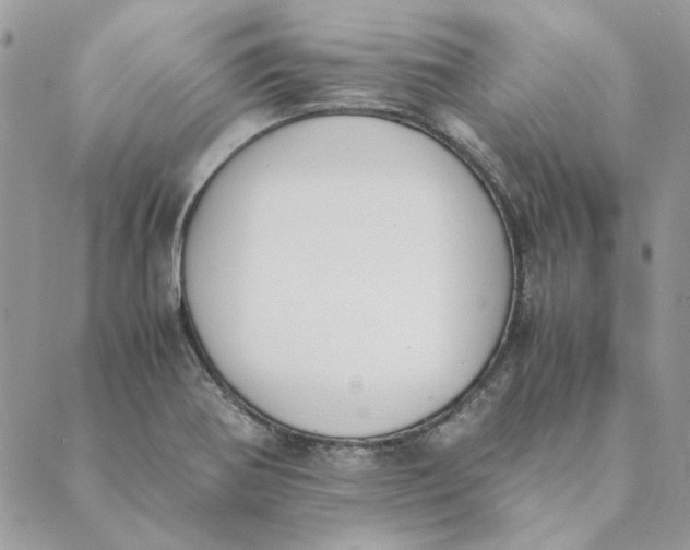 X0000089401370200707061218