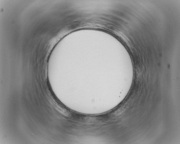 X0000089401371200707061218