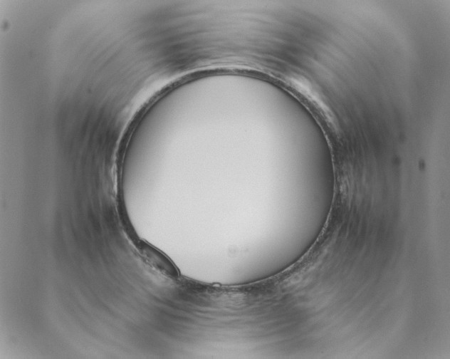 X0000089401372200707061218