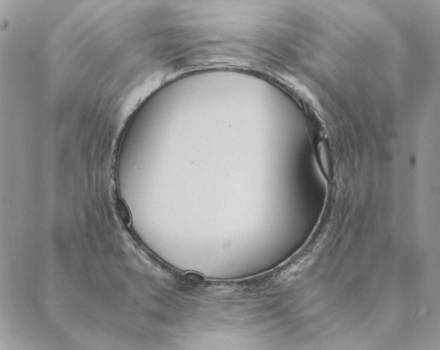 X0000089401373200707061218