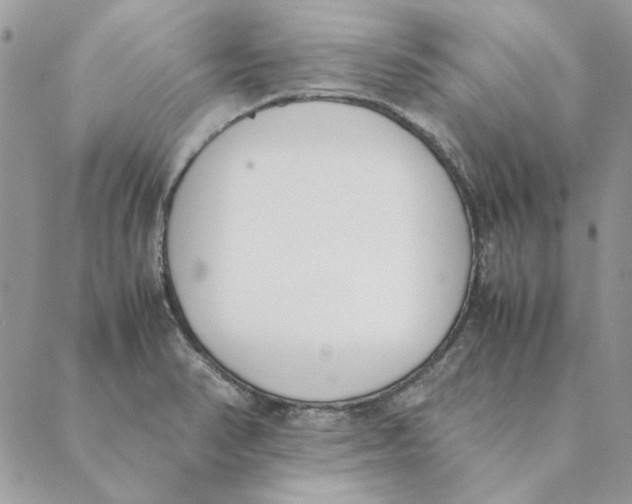 X0000089401374200707061218