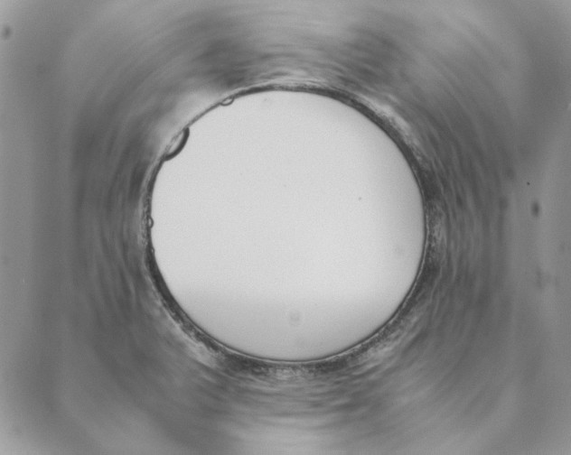 X0000089401375200707061218