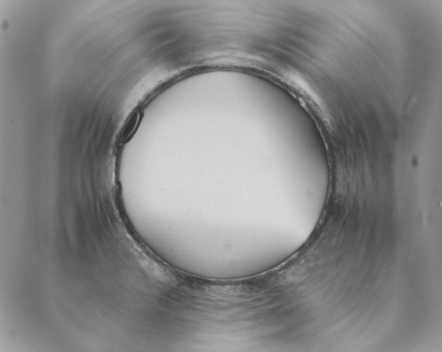 X0000089401376200707061218