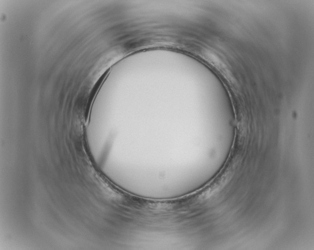 X0000089401377200707061218