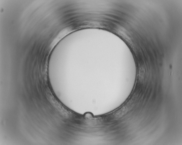 X0000089401378200707061218