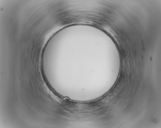 X0000089401379200707061218