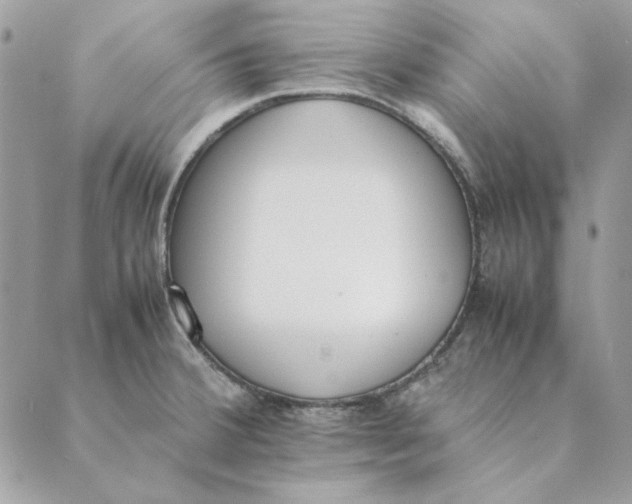 X0000089401380200707061218