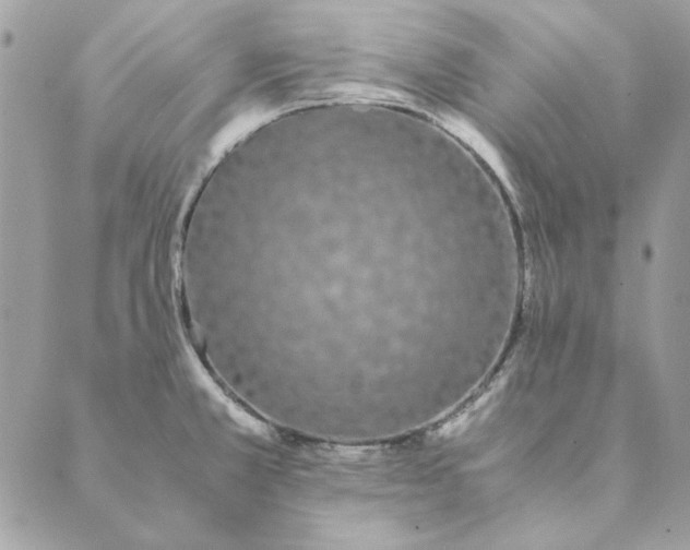 X0000089401381200707061218