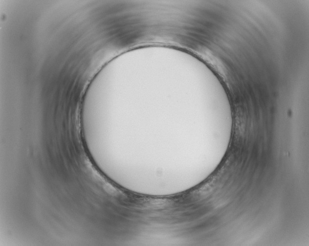 X0000089401382200707061218