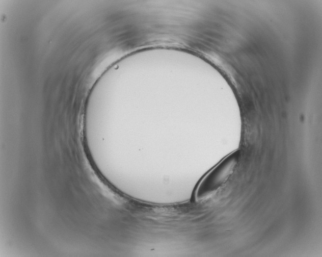 X0000089401383200707061218