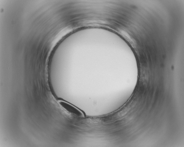 X0000089401384200707061218