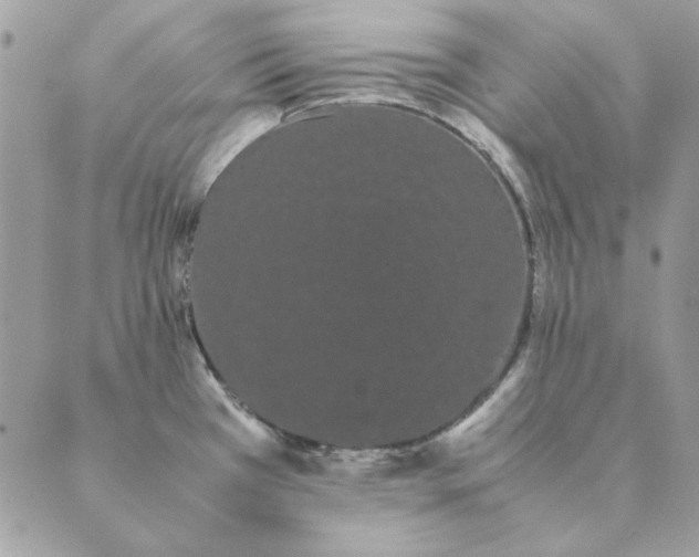 X0000089401385200707061218