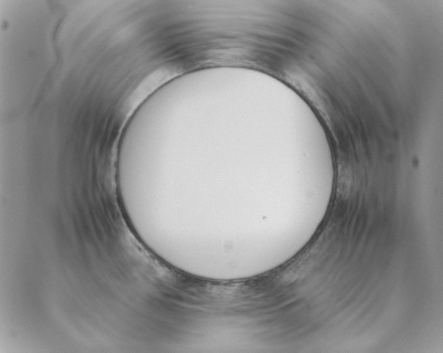 X0000089401386200707061218