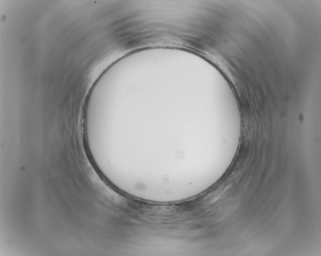 X0000089401387200707061218