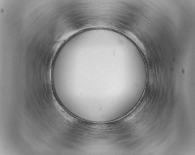 X0000089401388200707061218