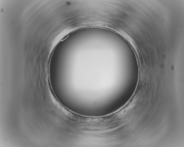 X0000089401389200707061218