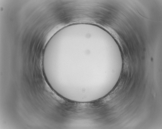 X0000089401390200707061218